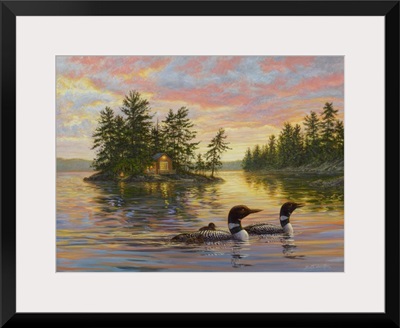 Tranquil Evening - Loons