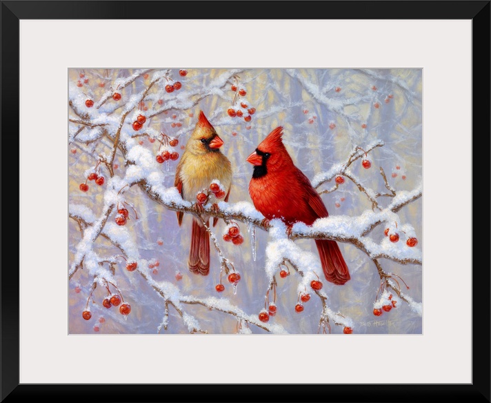 Winter Joy - Cardinals