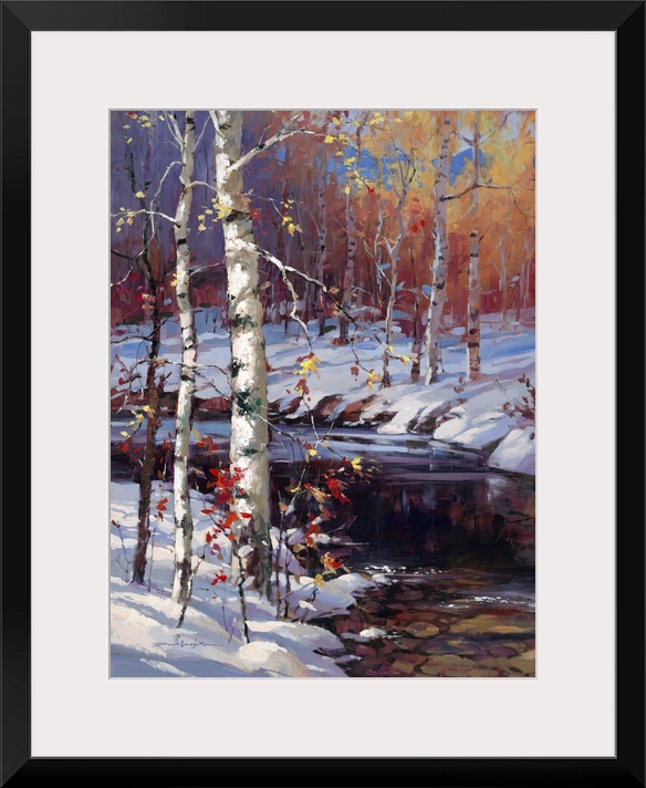 Snowy Birch
