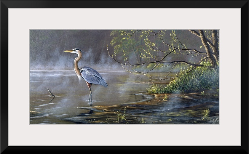 Great blue heron in a pond.