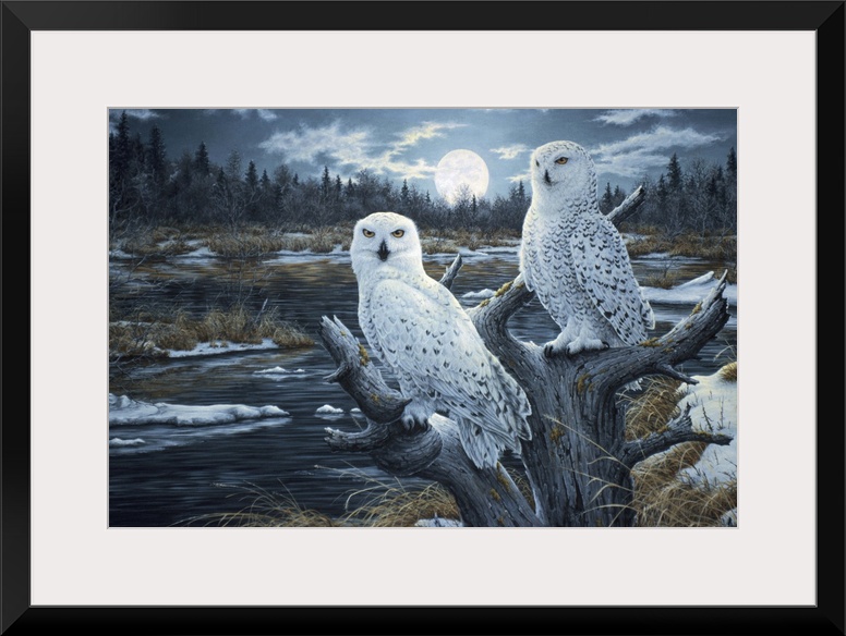 a pair of white owls perched in the top of a dead tree with the moon rising in the background