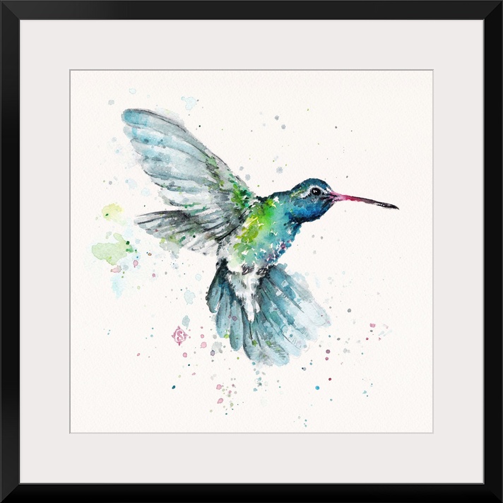 Hummingbird Flurry