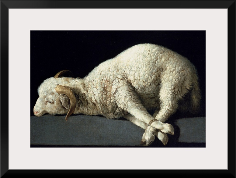 XIR154905 Agnus Dei, c.1635-40 (oil on canvas) by Zurbaran, Francisco de (1598-1664); Prado, Madrid, Spain; Spanish