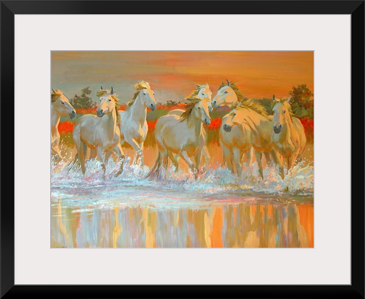 Landscape canvas wall art of wild, white horses galloping through water at sunset.