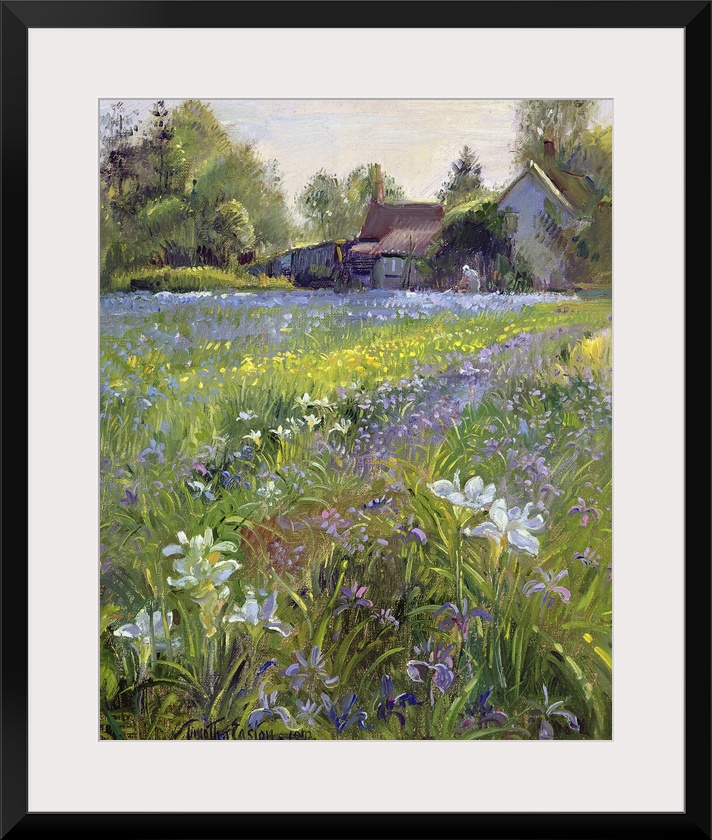 Dwarf Irises and Cottage, 1993