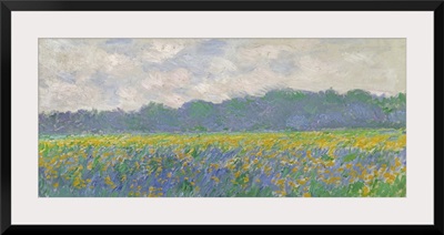 Field Of Yellow Irises At Giverny, 1887