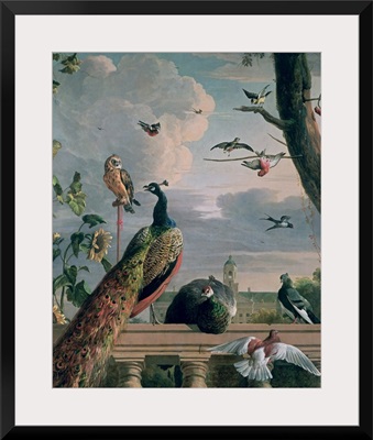 Palace of Amsterdam with Exotic Birds