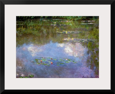 Water Lilies, The Cloud