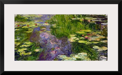 Waterlilies