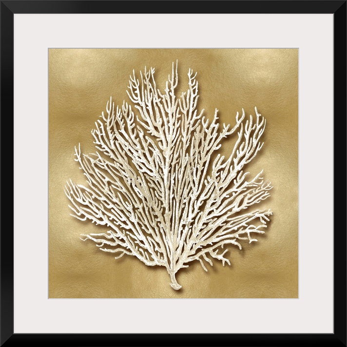 Square beach decor with white coral on a gold background.