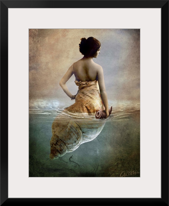 Conceptual art of a woman who is half shell, floating in water.