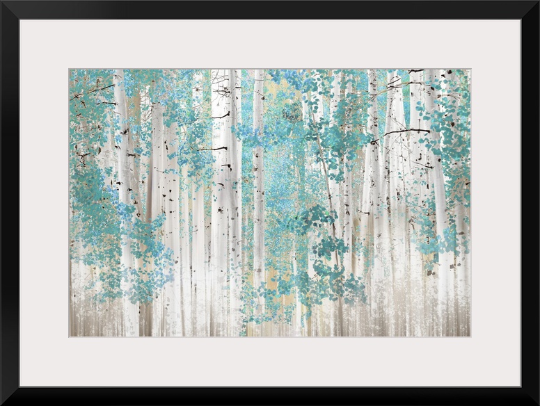 Birch Trees T