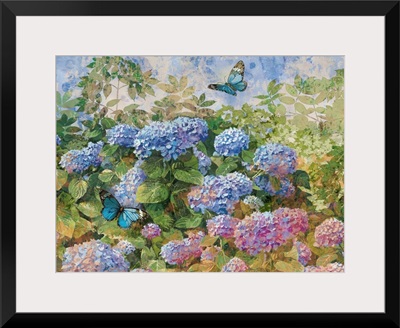 Hydrangeas