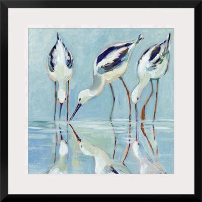 Stilt Birds