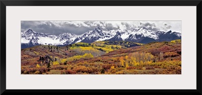 Colorado, San Juan Mountains. Autumn foliage at Dallas Divide