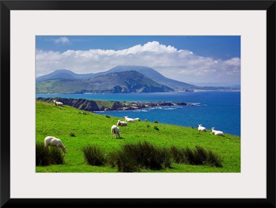 Ireland, Donegal, Inishowen Peninsula, landscape near Pollan Bay