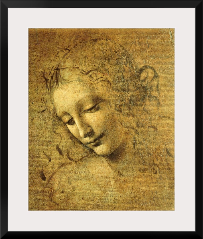 Head of a Young Woman La Scapigliata (The Lady of the Disheveled Hair), by Leonardo da Vinci Unknown Artist, 1508 about, 1...