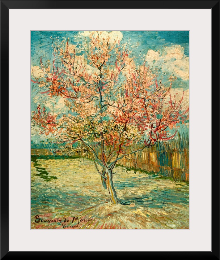 Peach Blossoming (Souvenir de Mauve), by Vincent Van Gogh, 1888, 19th Century, oil on canvas, cm 73 x 59,5 - Netherlands, ...