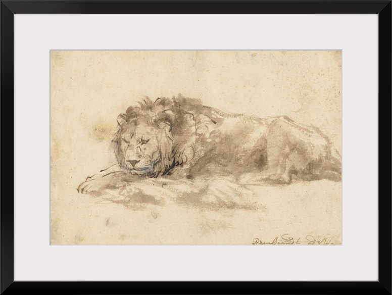 Reclining Lion, by Rembrandt van Rijn, c. 1650-59, Dutch drawing, pen and ink, wash, on paper. Rembrandt made drawings of ...