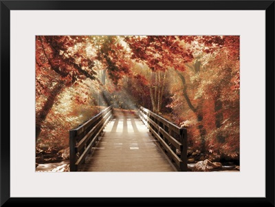 Autumn Bridge