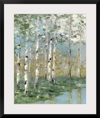 Birch Reflections I