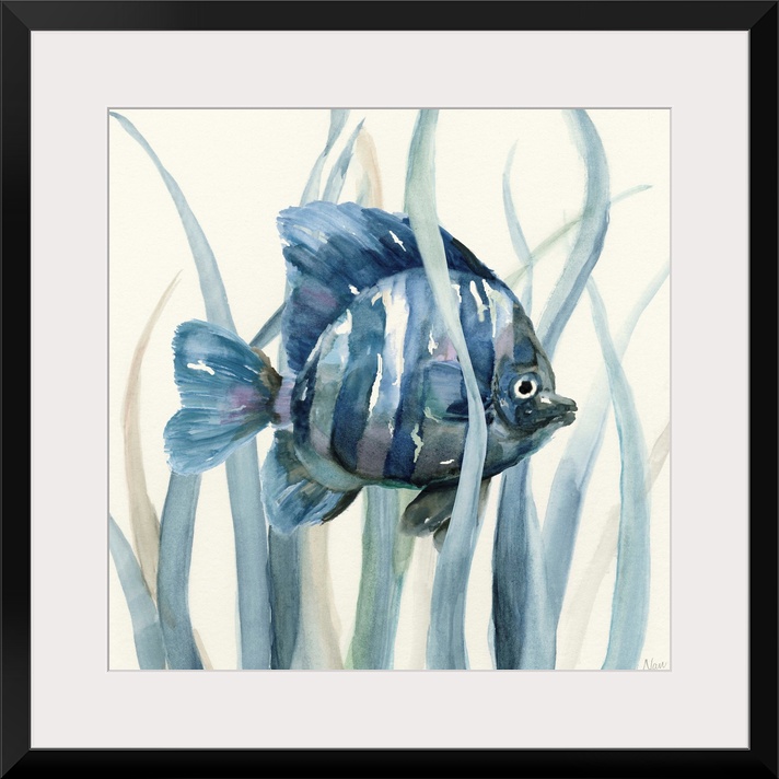 Square indigo watercolor painting of a fish underwater in seagrass on an off white background.