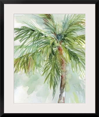 Palm Breezes II