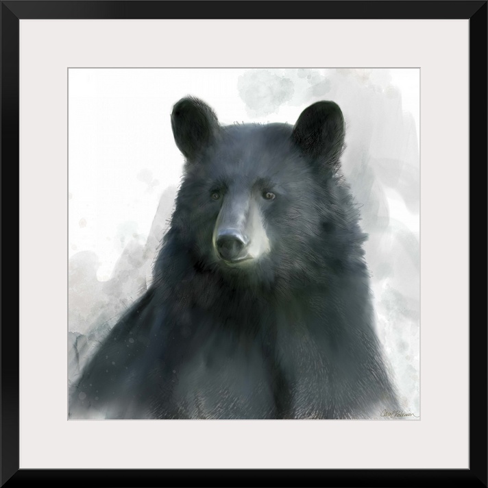 Watercolor portrait of a black bear on white.