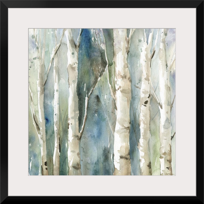 Square watercolor painting of Birch trees with a blue and green toned background.