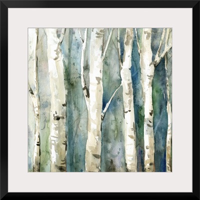 River Birch II