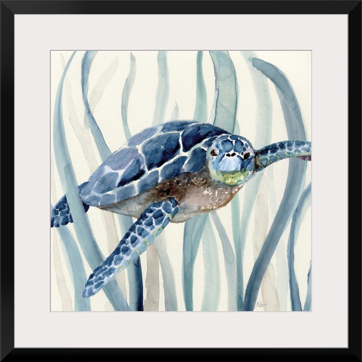 Square watercolor painting of a sea turtle  swimming through seagrass in shades of blue.