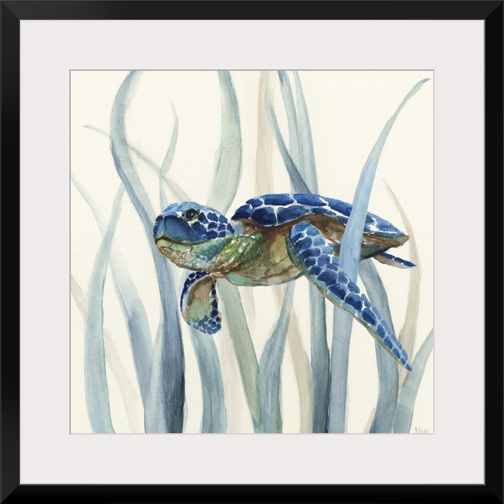 Square watercolor painting of an indigo, green, and brown sea turtle underwater in swimming through seagrass on an off whi...