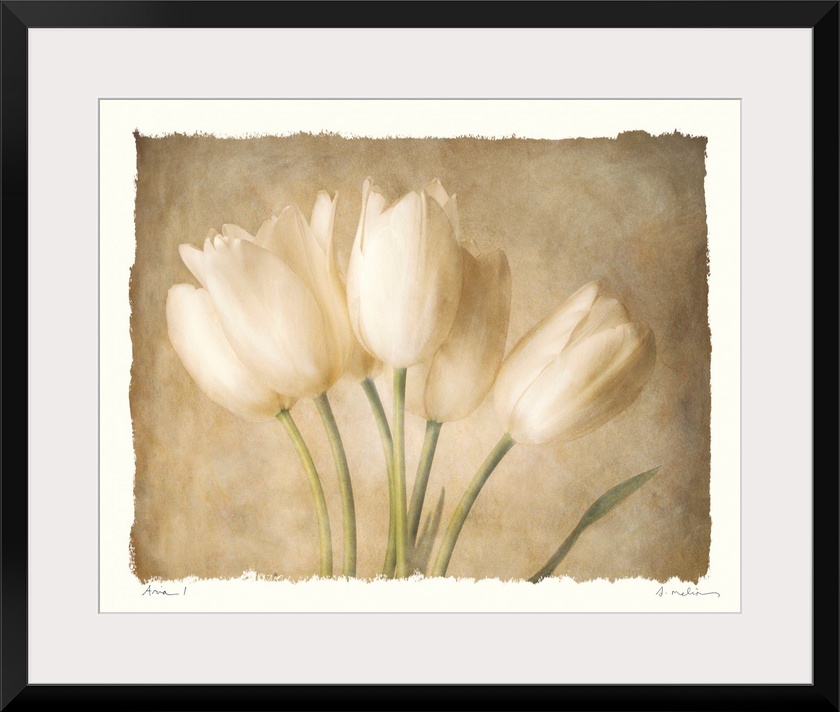 Decorative painting of a small bouquet of tulips in subtle, neutral tones, on a white background.