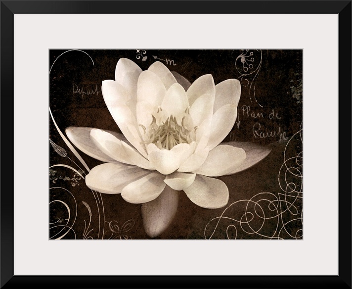 Giant canvas art includes a close-up of a flower surrounded by a number of curved accent lines and text.