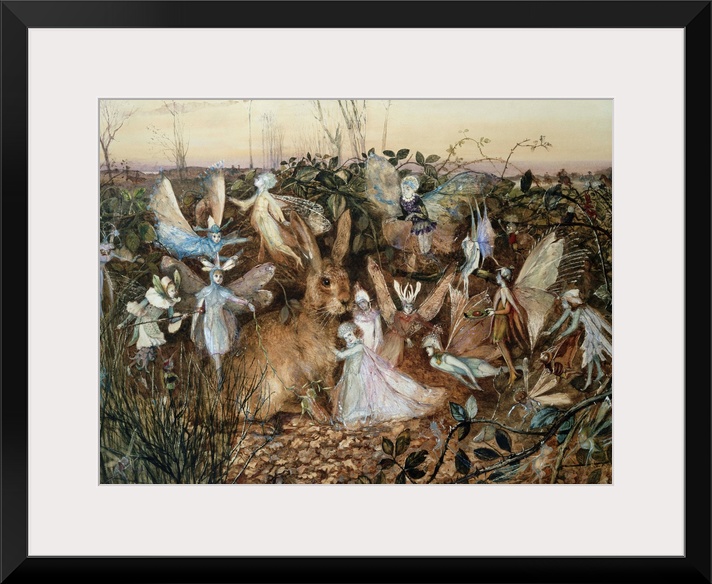 A Rabbit Among The Fairies