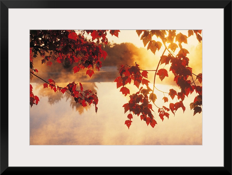 Landscape wall art of autumn leaves hanging off a tree while mist rises off a pond in the morning light.
