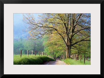 Cades Cove Lane In Great Smoky Mountains National Park