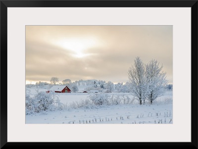 Farm In A Rural Winter Landscape With Snow And Frost