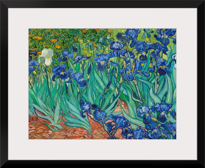 Vincent van Gogh (French, 1853 - 1890), Irises, 1889, oil on canvas, 71.1 x 93 cm (27.9 x 36.6 in), The J. Paul Getty Muse...