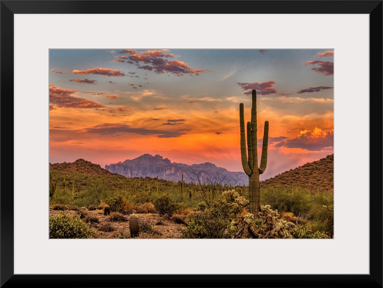 Sunset in the Sonoran Desert near Phoenix, Arizona.