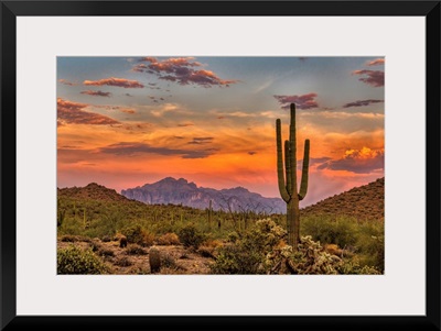 Sonoran Sunset