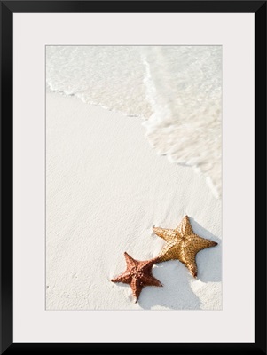 Starfish on tropical beach.