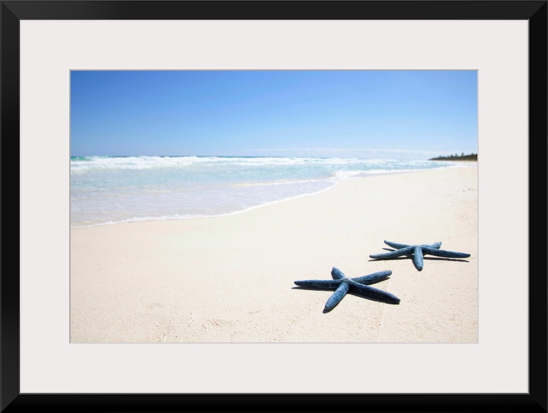 Tropical Central American beach with flawless white sand and gentle waves with two starfish in the foreground.