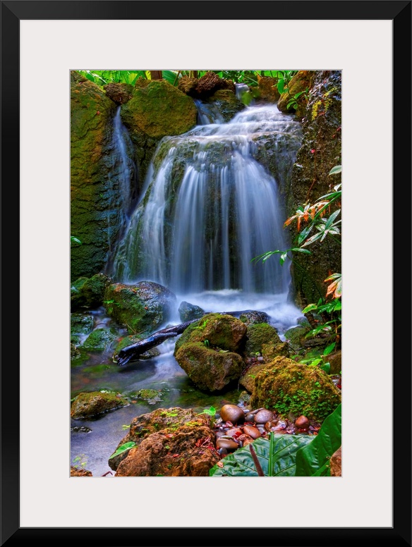 Photograph of cascading water falling into a rocky stream in colorful forest.