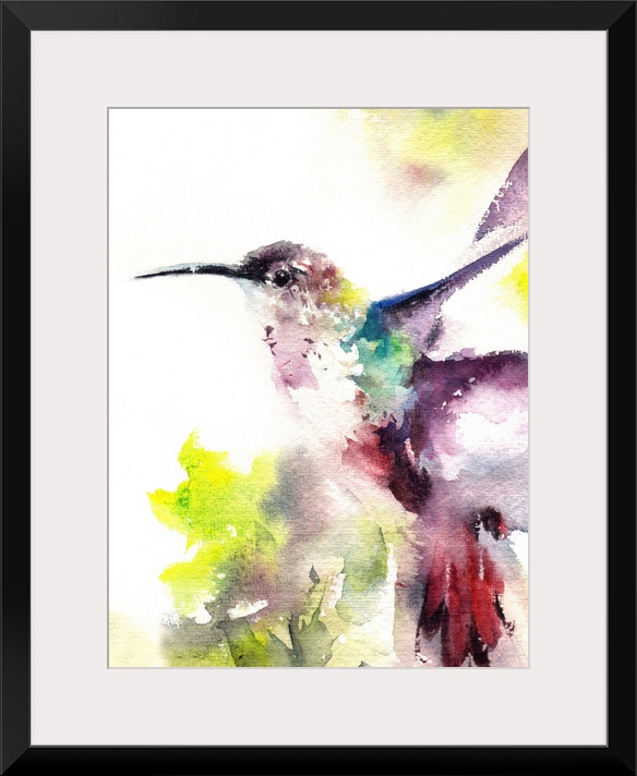 A contemporary watercolor painting of a hummingbird hovering against a white background.