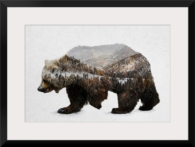 The Kodiak Brown Bear