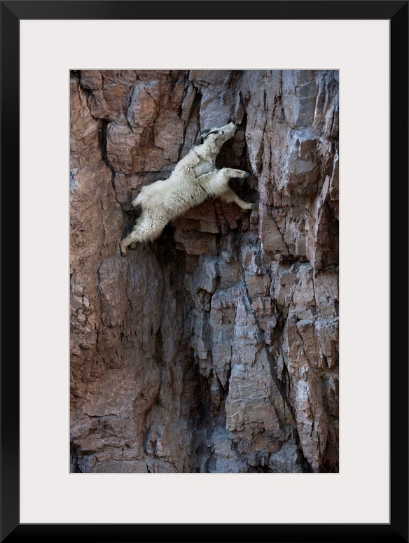 Glacier National Park, Montana. By Joel Sartore