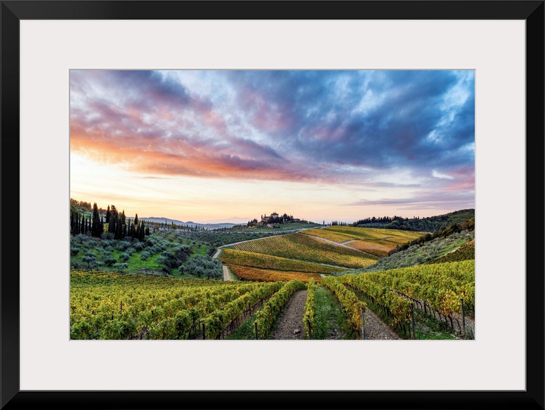 Farmhouse Surrounded By Vineyards At Sunrise. Gaiole In Chianti, Siena Province, Tuscany, Italy.