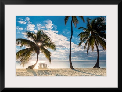 Palm Trees And Love Seat,  Islamorada, Florida Keys, USA