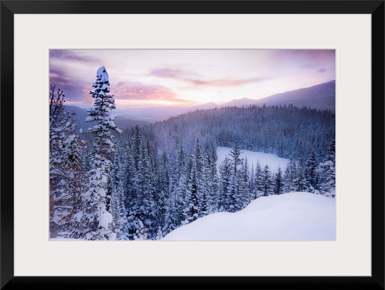 Nature photograph of snow covered trees and  mountains in Colorado as the sun sets.